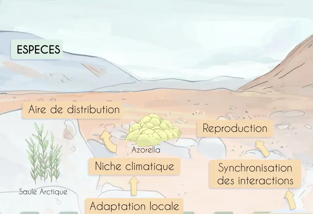 Biodiversité et réchauffement climatique